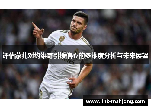 评估蒙扎对约维奇引援信心的多维度分析与未来展望