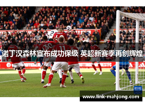诺丁汉森林宣布成功保级 英超新赛季再创辉煌