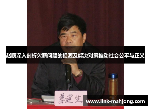 赵鹏深入剖析欠薪问题的根源及解决对策推动社会公平与正义