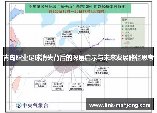 青岛职业足球消失背后的深层启示与未来发展路径思考