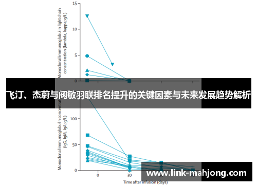 飞汀、杰蔚与阀敏羽联排名提升的关键因素与未来发展趋势解析